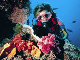 Gold Coast Seaway Dive Site - eAccommodation 0