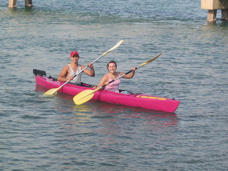 Swan Boat Hire - eAccommodation 2