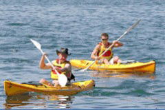 Manly Kayaks - eAccommodation 0