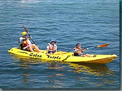 Manly Kayaks - eAccommodation 3