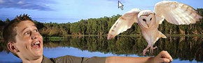 Territory Wildlife Park - eAccommodation 2