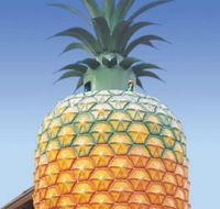 The Big Pineapple - eAccommodation