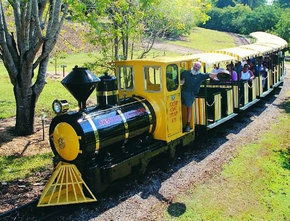 The Big Pineapple - eAccommodation 1