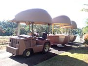 The Big Pineapple - eAccommodation 2