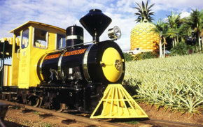 The Big Pineapple - eAccommodation 3