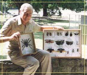 Butterfly Farm - eAccommodation 1
