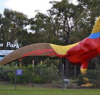 Gumbuya Park - eAccommodation