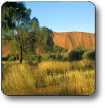 Yulara NT eAccommodation