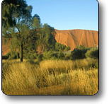 Uluru - Kata Tjuta National Park - eAccommodation