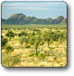 Uluru - Kata Tjuta National Park - eAccommodation 2