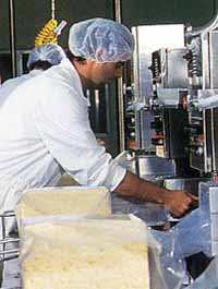 Allansford Cheese World - eAccommodation 1