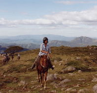 High Country Horses - eAccommodation