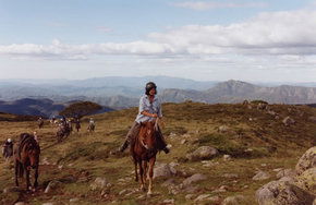 High Country Horses - eAccommodation 0