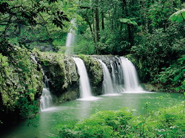 Hidden Valley Tours - eAccommodation 2