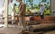 Hervey Bay Historical Village And Museum - thumb 1