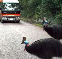 Kookaburra Tours - eAccommodation