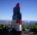 Mount Tamborine Winery  Homestead - eAccommodation