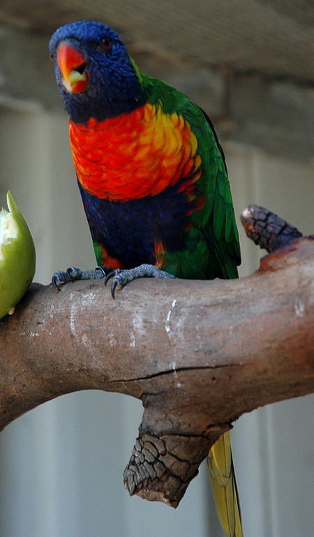 Bunbury Wildlife Park - eAccommodation 3