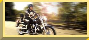 Easy Rider - eAccommodation 1