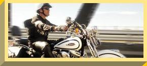 Easy Rider - eAccommodation 2