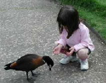 Urimbirra Wildlife Park - eAccommodation 3