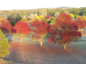 Balloon Adventures Barossa Valley - eAccommodation 3