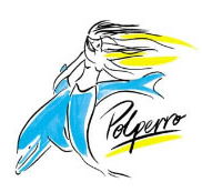 Polperro Dolphin Swims - eAccommodation