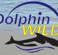 Dolphin Wild - eAccommodation