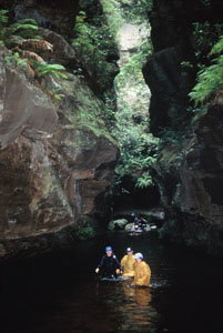 High And Wild Mountain Adventures - eAccommodation 1