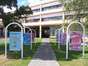 Cadbury Chocolate Factory Tour - eAccommodation 2