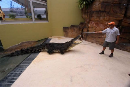 Crocosaurus Cove - eAccommodation 2