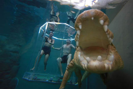 Crocosaurus Cove - eAccommodation 3