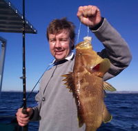 Downunder Charters - eAccommodation