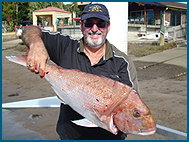 Odyssey Charters - eAccommodation 1