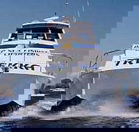 Sunshine Coast Fishing Charters - eAccommodation
