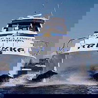 Sunshine Coast Fishing Charters - eAccommodation 0