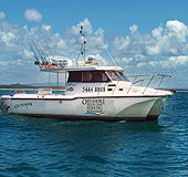Sunshine Coast Fishing Charters - eAccommodation 1