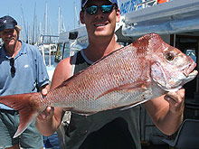 Sunshine Coast Fishing Charters - eAccommodation 2