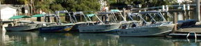 Brooklyn Central Boat Hire & General Store - eAccommodation 1