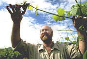 Barossa Experience Tours - eAccommodation 0