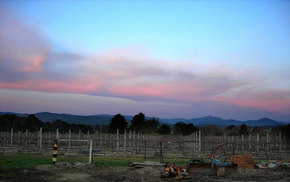 Buller View Wines - eAccommodation 1