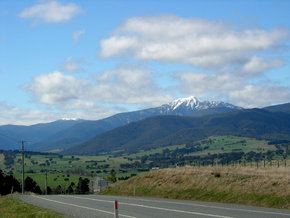 Buller View Wines - eAccommodation 2