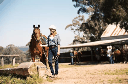 Watsons Trail Rides - eAccommodation
