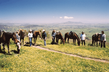 Watsons Trail Rides - eAccommodation 1