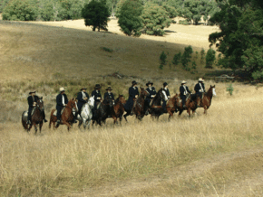 McCormacks Mountain Valley Trail Rides - eAccommodation