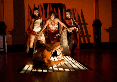 Zen Zen Zo Physical Theatre - eAccommodation 1