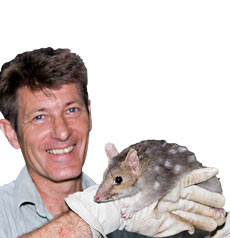 Geckoes Wildlife Presentations - eAccommodation 0