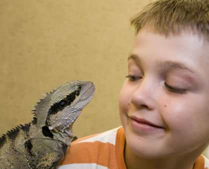 Geckoes Wildlife Presentations - eAccommodation 2
