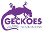 Geckoes Wildlife Presentations - eAccommodation 3