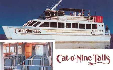 Cat O' NineTails - eAccommodation 1
